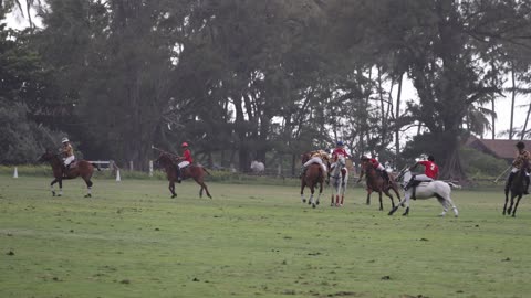 Oahu Polo Club