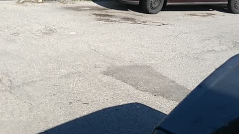 Man cools off his tires on 36°C hot day outside