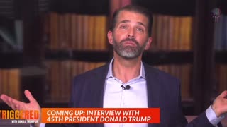 Don Jr. calls out the Democrats for supporting pedophiles