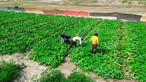 Poor Villagers Live Their Lives Like This. !! Real Life India Daily Routine In UP #farmerlife