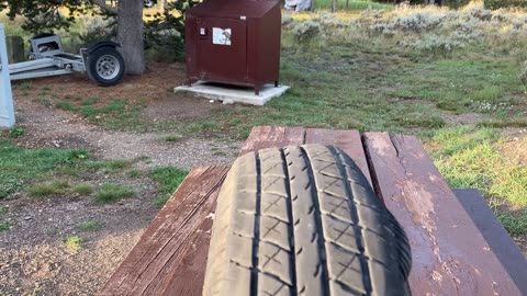 Trailer tire issue