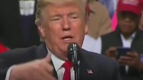 Donald Trumps funny clips