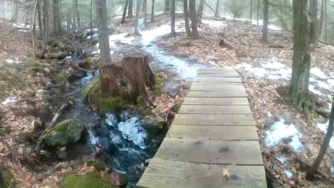 UpNorth (Cranberry Meadow Pond Trail) [Virtual Trail Tour] 2022