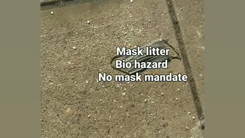 No mask mandate no vax mandates mask litter box