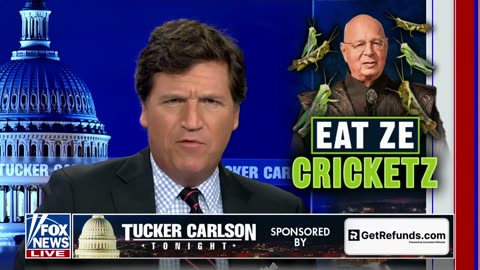 Tucker Carlson: Why are Crickets ending up in your snack foods