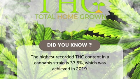 Highest THC so far...