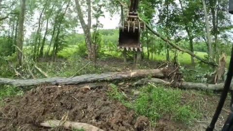 Yonaka Bulldozing: Ep 12 Swamp lands and Beaver Damns