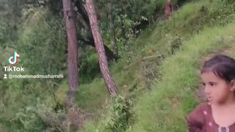 Kashmir visit video