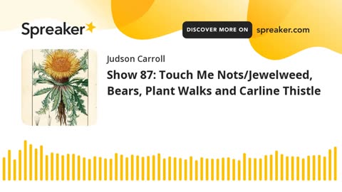 Show 87: Touch Me Nots/Jewelweed, Bears, Plant Walks and Carline Thistle