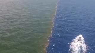 Video showcasing where the Mississippi River and Gulf of Mexico meet