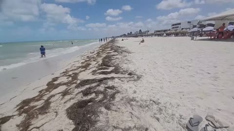 LA PLAYA DE PROGRESO YUCATAN MEXICO