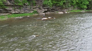 Penns Creek 5/24/22