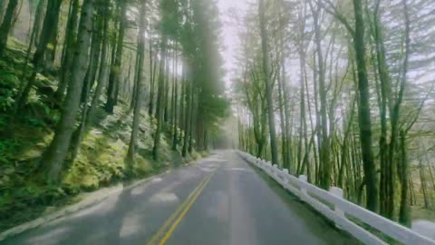 Beautiful Landscapes of Oregon State - 4K Scenic Drive Video - Short Preview.