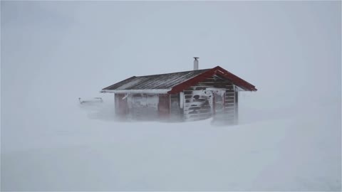 Heavy Snowstorm Sounds For Sleeping, Relaxing ~ Blizzard Snow Howling Wind Winter Storm Ambience