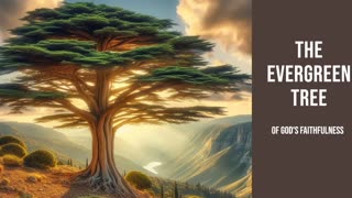 The Evergreen Tree of God's Faithfulness
