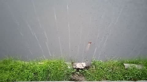 RAIN IN THE DAY#ASMR