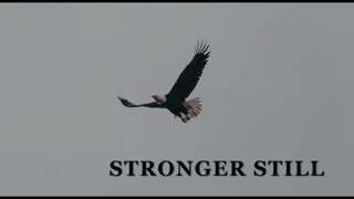Pray USA 4/22/24 Stronger Still