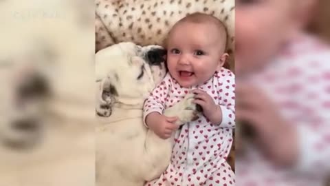 Cute baby and pets