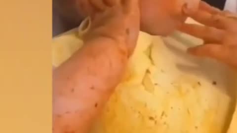 Funny Messy Babies when eating
