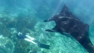 Deep ocean underwater video