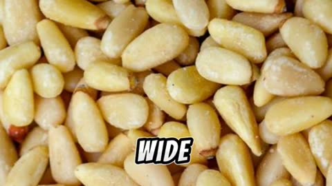 Pine Nuts: Nature's Tiny Treats