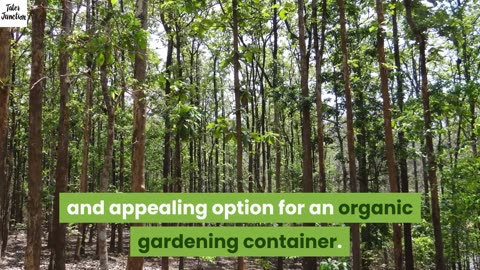organic gardening safe containers UK what plastics are safe to grow plants in Honest Video