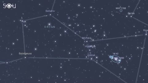 Look Up! The Best Meteor Shower of October 2022 Has Begun | Orionid Meteor Shower | Orionids | Space