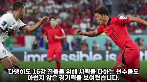 16강 진출한 한국을 봐줬냐는 질문에 포르투갈의 감독이 보인 반응