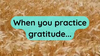When you practice gratitude...