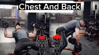 Chest And Back Workouts