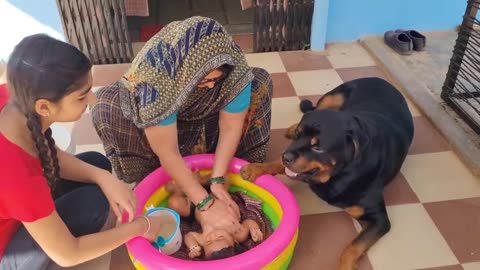 Jerry and Aaru are made for each other Dog protecting baby earn money online