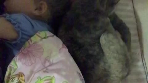 the Cat puts the baby to sleep