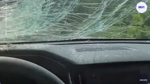 New car stands no chance against falling tree on wet roadway