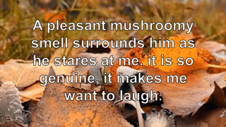 A pleasant mushroomy smell surrounds him as he stares at me. it is so genuine, it makes me want...