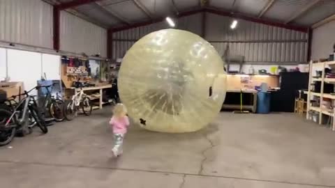 We Got A Giant Zorb Ball And The Dogs Go Crazy! Its Massive! (Phil’s Not Convinced!!)