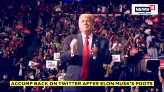 Donald Trump - Donald Trump Is Back On Twitter - Elon Musk News - USA News - English