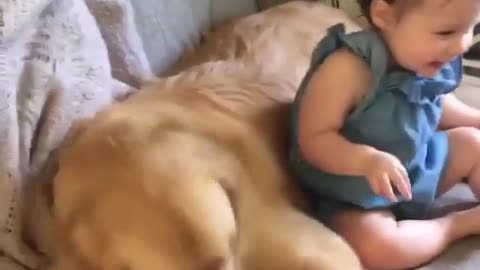 Cute Baby And Dog