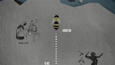 The case of the vanishing honeybees - Emma Bryce
