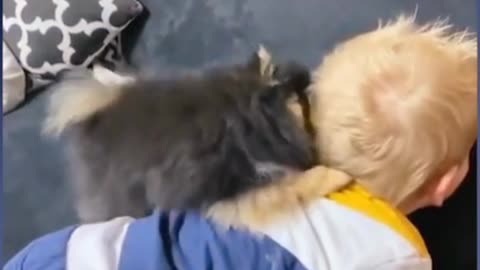 Puppy and baby funny video