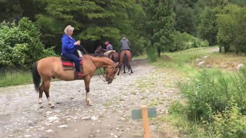 Horseback riding, La Confluencia, Patagonia, Argentina