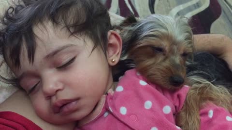 Dog cuddles with sleeping baby