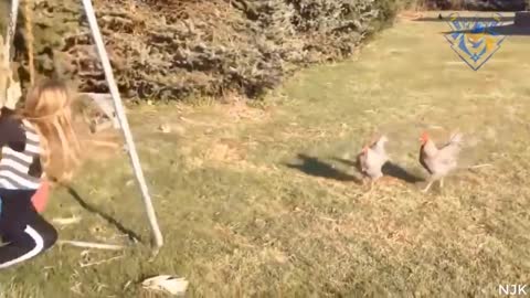 Funny animal attack. 99% try very hard to not laugh