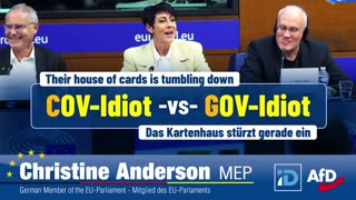 COV Idiots vs GOV Idiot - Christina Anderson MEP