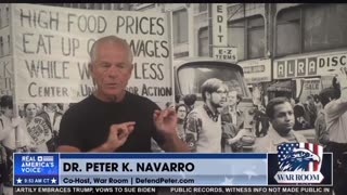 Peter Navarro decoupling from China