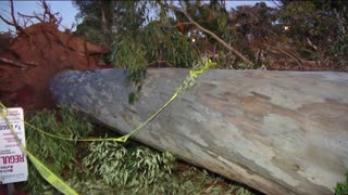 County and city crews begin cleanup after fierce Santa Ana winds
