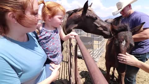 Adley RIDES SPIRIT the Horse!