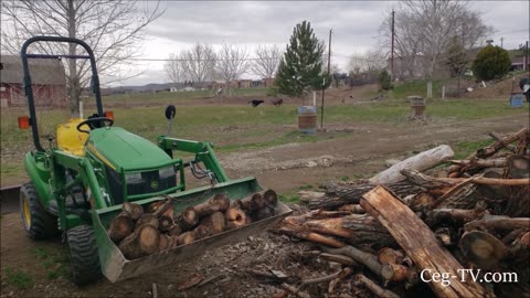 Graham Family Farm: Firewood for Easter