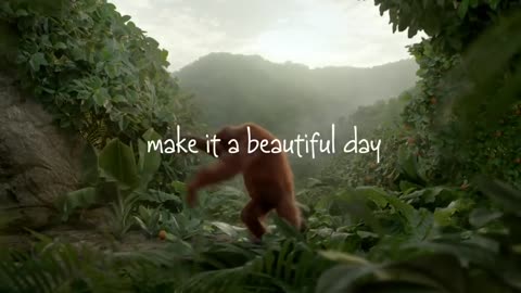 Funny Orangutan Has Best Dance Moves We've Ever Seen!