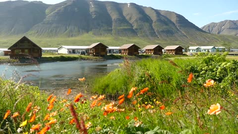 Adventure Now Season 4 Episode 7 - Iceland! Awesome sail from Husavik to Flatey