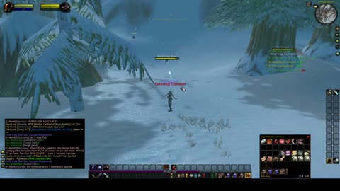 Turtle Wow - HC Vagrant Slow mode No Pet Melee Hunter - part 2